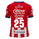 Jersey Atletico San Luis Home Sporelli 2024/25 Damm