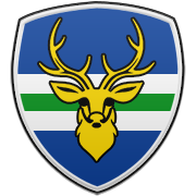 워싱턴 위저즈 엠블럼