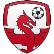 댈러스 매버릭스 엠블럼