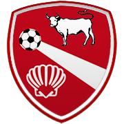 보스턴 셀틱스 엠블럼