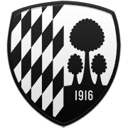 휴스턴 로키츠 엠블럼